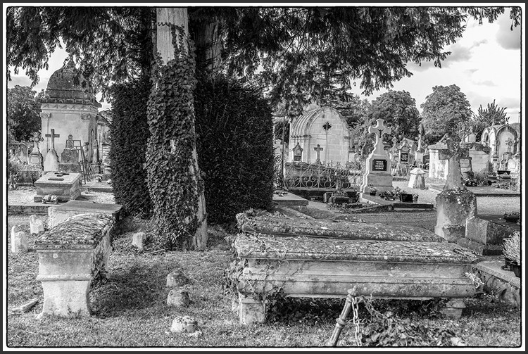 075.jpg (195 KB)