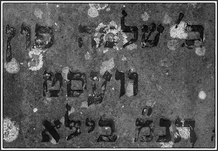 096.jpg (190 KB)
