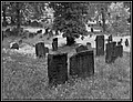 006.jpg(169 KB)