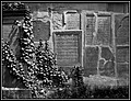 007.jpg(193 KB)