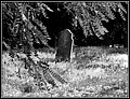 008.jpg(179 KB)