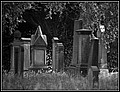027.JPG(144 KB)