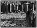 039.jpg(209 KB)