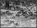 042.jpg(238 KB)