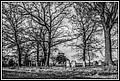 078.jpg(239 KB)