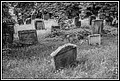 083.jpg(218 KB)