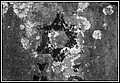 104.jpg(218 KB)