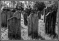 107.jpg(206 KB)