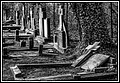 124.jpg(227 KB)