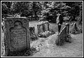 129.jpg(196 KB)