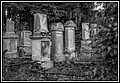 132.jpg(191 KB)