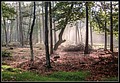 066.JPG(182 KB)