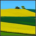 091.jpg(93,1 KB)