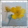 199.jpg(58,5 KB)