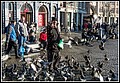 062.jpg(232 KB)